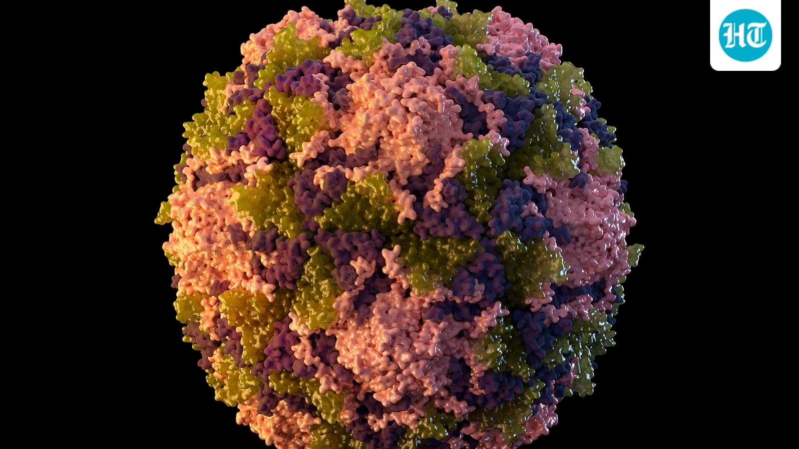 All you need to know about human hantavirus linked to human-to-human transmission on cruise ship: Symptoms, safety