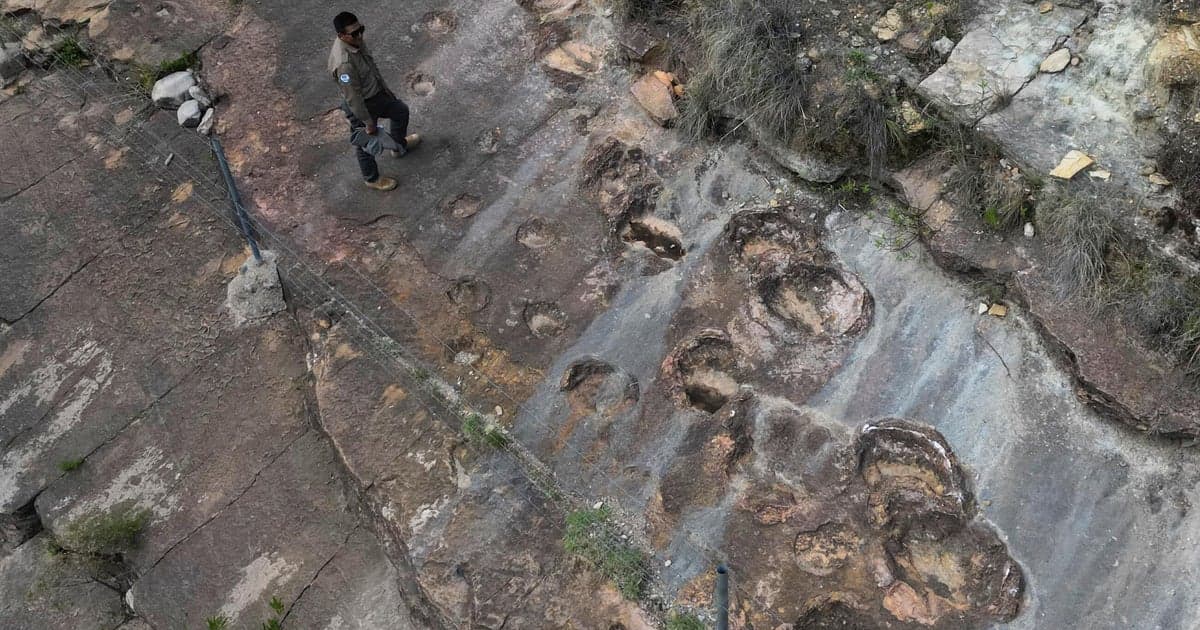 Fossil footprints in Bolivia reveal dinosaurs' awkward attempts to swim